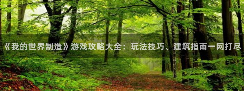彩神赢的钱是哪里来的啊：《我的世界制造》游戏攻略大全：玩法技巧、建筑指南一网打尽