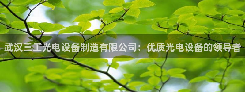 彩神网可以赚钱是真的吗：武汉三工光电设备制造有限公司：优质光电设备的领导者