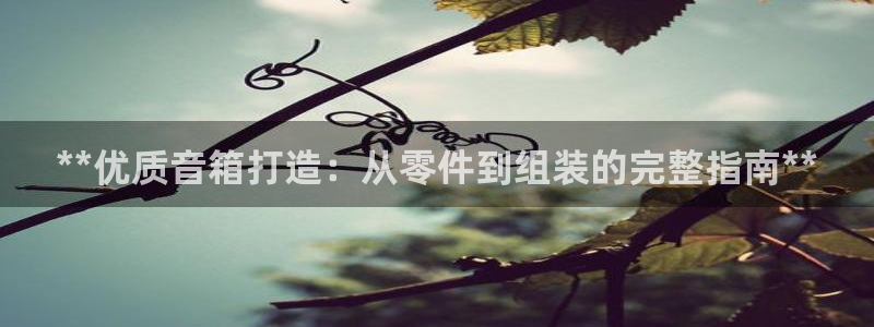 所有彩神购买首页都一样吗