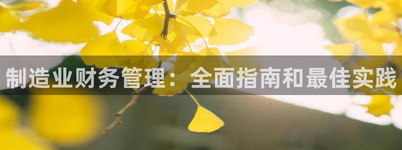 彩神app赚钱是真是假：制造业财务管理：全面指南和最佳实践