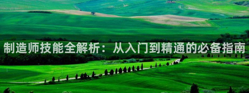 彩神v违法么：制造师技能全解析：从入门到精通的必备指南