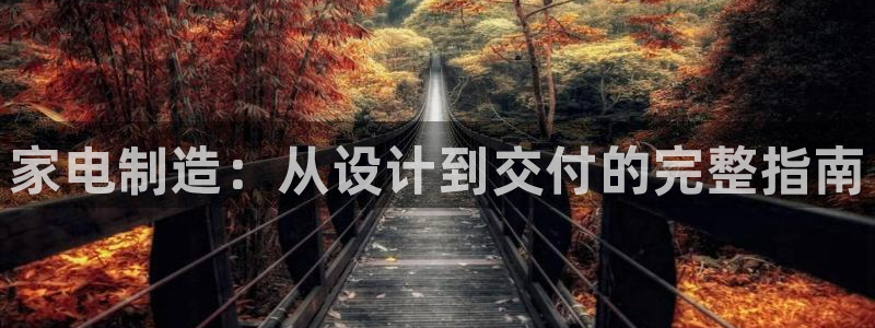 彩神viii官网：家电制造：从设计到交付的完整指南