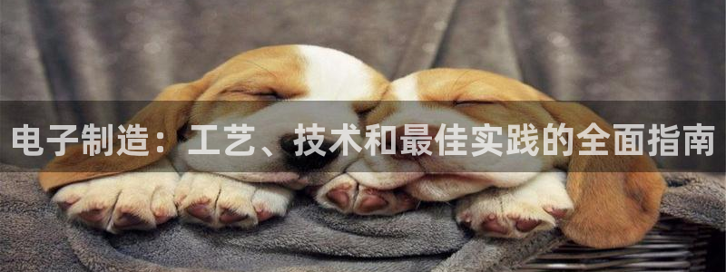 彩神8官网版是正规的吗