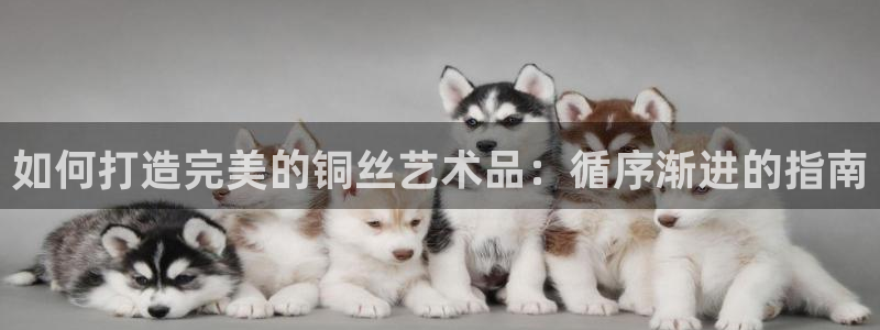 下载彩神乐发V1