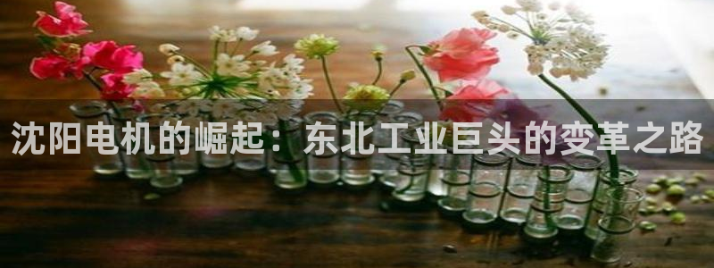 彩神v8下载app5.0：沈阳电机的崛起：东北工业巨头的变革