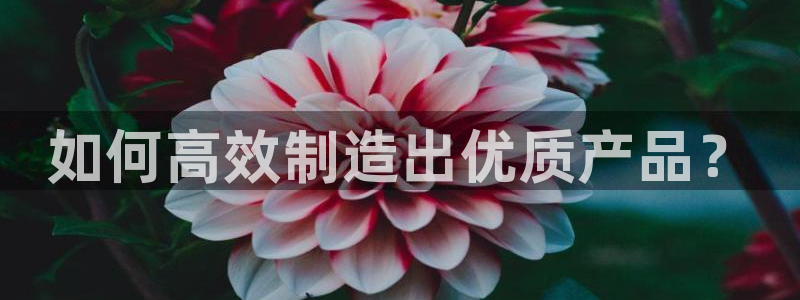 彩神争霸官方登录：如何高效制造出优质产品？