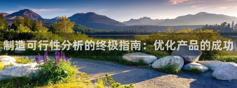 彩神V集团有限公司：制造可行性分析的终极指南：优化产品的成功