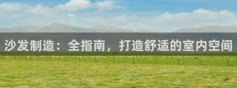 彩神大发官网：沙发制造：全指南，打造舒适的室内空间