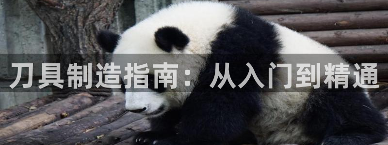 彩神 好 平台