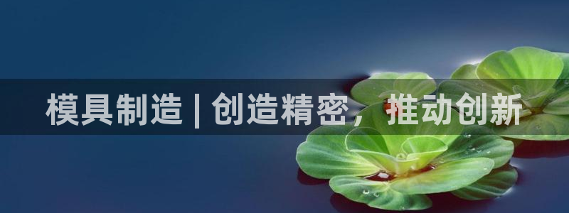 彩神8官网版是正规的吗：模具制造 | 创造精密，推动创新
