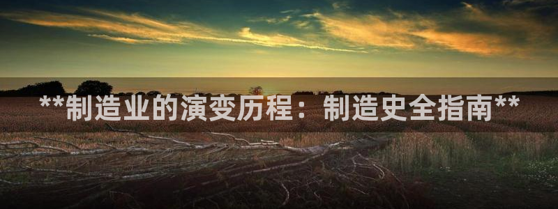 彩神购彩-购彩大厅入口计划群：**制造业的演变历程：制造史全指南**