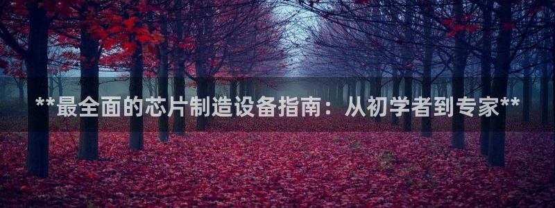 彩神v8下载app5.0：**最全面的芯片制造设备指南：从初学者到专家**