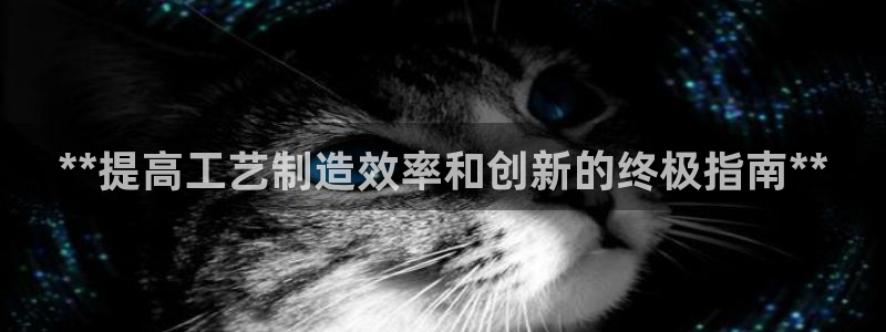 彩神ix官网：**提高工艺制造效率和创新的终极指南**