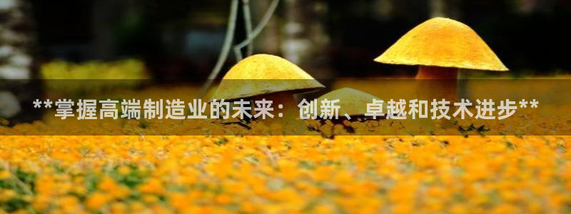 彩神旗下有哪些平台可以看：**掌握高端制造业的未来：创新、卓越和技术进步**