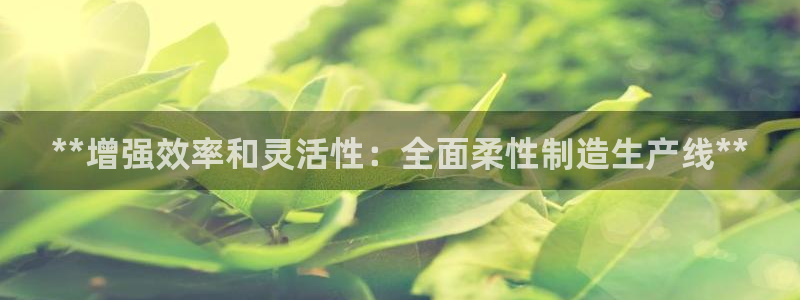 彩神网合法吗：**增强效率和灵活性：全面柔性制造生产线**