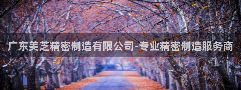 彩神ll能赚钱吗：广东美芝精密制造有限公司-专业精密制造服务商